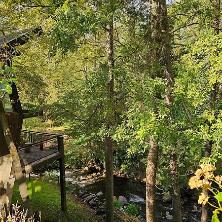 Das Rosenhaus Apart Hotel By Rosas Blancas San Martín de los Andes 외부 사진